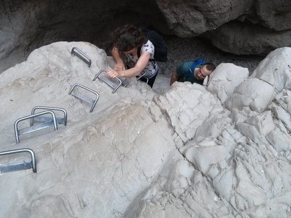 מוכנים לתפוס יתד? | צילום: עומר זיו