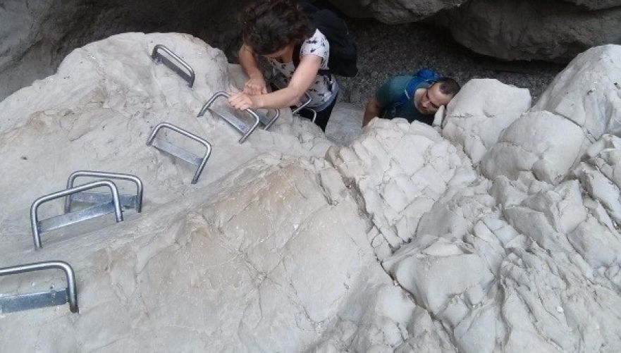 מוכנים לתפוס יתד? | צילום: עומר זיו