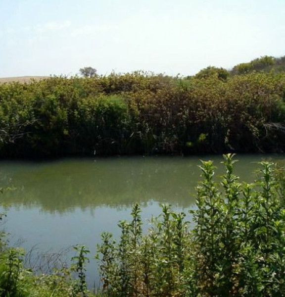 תמונה של עין ריחניה - למטייל בישראל (טיולי)