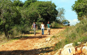 השביל היורד מקיבוץ בית אורן - נחל אורן - ממחצבות קדומים לחניון האגם (3)