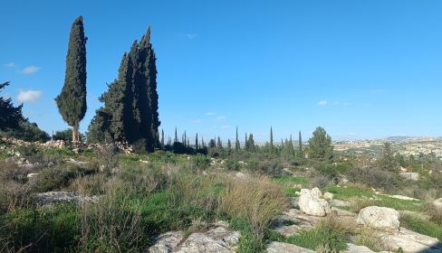תמונה של גבעת הברושים במודיעין ומצפה אמנון ליפקין שחק - למטייל בישראל (טיולי)
