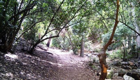 תמונה של נחל לוטם וגן החיות הלימודי בחיפה - למטייל בישראל (טיולי)