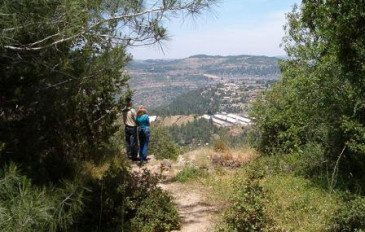 הנוף מחורבת סעדים - שביל המעיינות בהרי ירושלים (2)