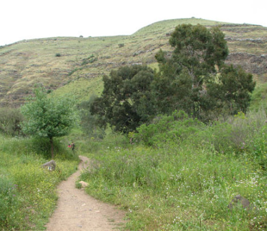 תמונה של עפולה, התבור, עמק יזרעאל ובקעת יבניאל - מומלצי המערכת - למטייל בישראל (טיולי)