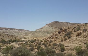 נחל קרקש (2)