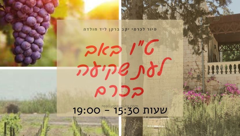 טיול כרמים ויין - לעת שקיעה בכרם (1)