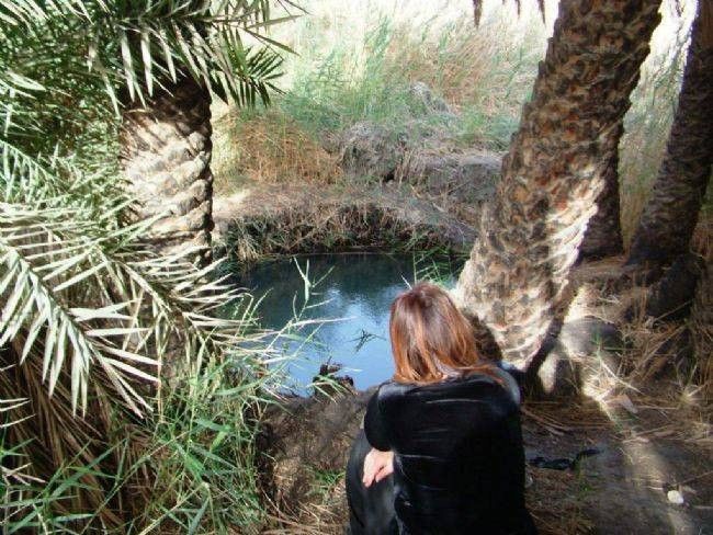 מעיין האהבה עין פלוטית | צילום: דובי זכאי