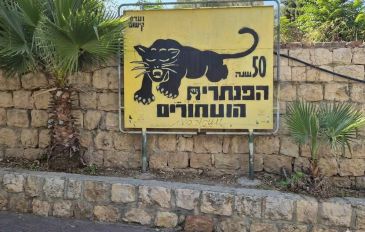 תצפית על העיר, סיור בשכונה פחות מוכרת, ביקור בסטודיו לאומנות טלאים (מי שמע על כך). (3)