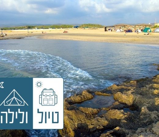 תמונה של טיול ולילה: מערות, פרפרים וחוף הבונים - למטייל בישראל (טיולי)