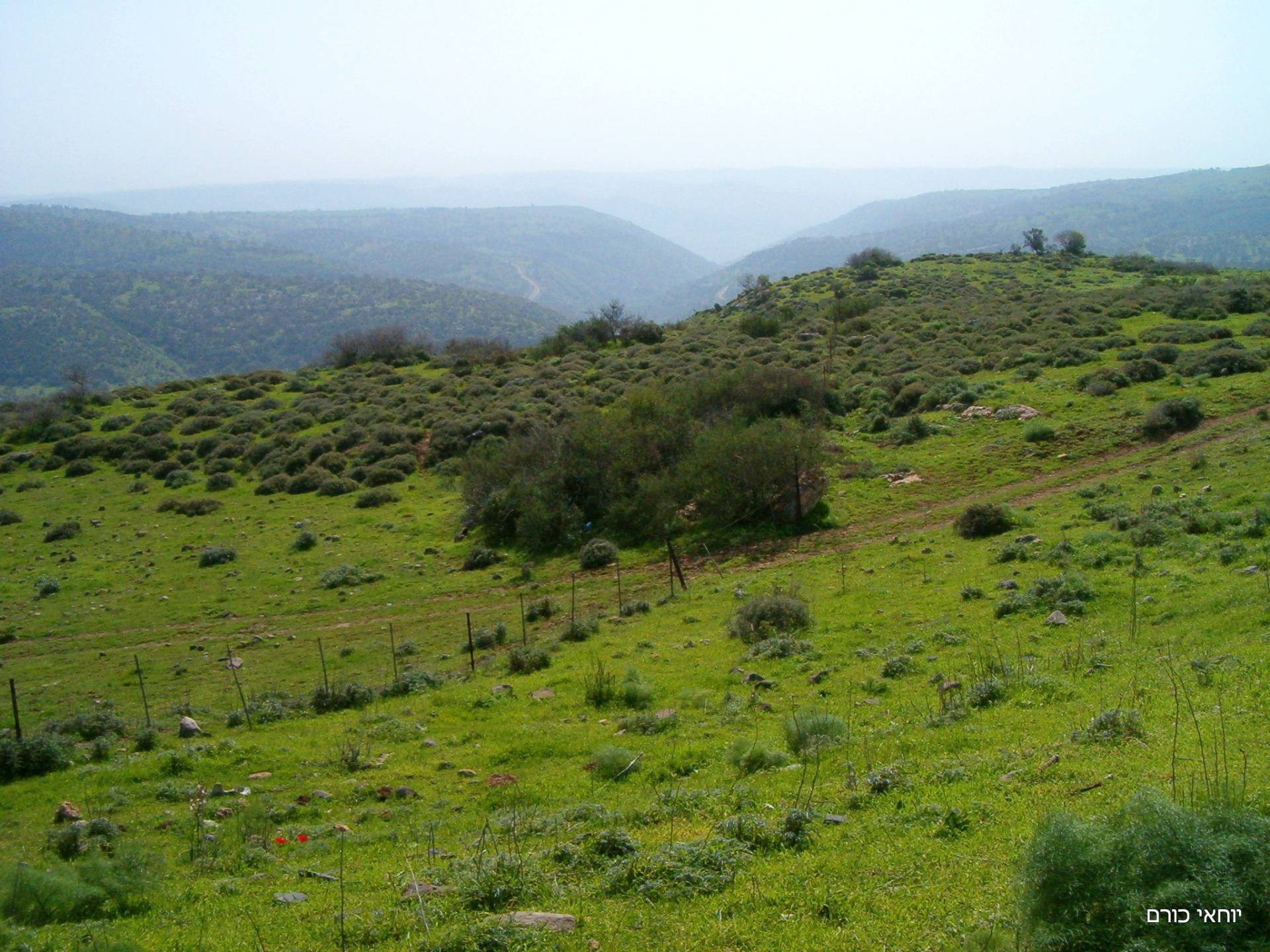 נחל מיצר. צילום: יוחאי כורם
