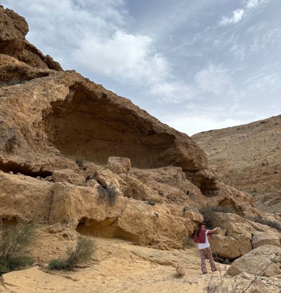 תמונה של פותחים את הטבע: 5 טיולים בשמורות והגנים הלאומיים - למטייל בישראל (טיולי)