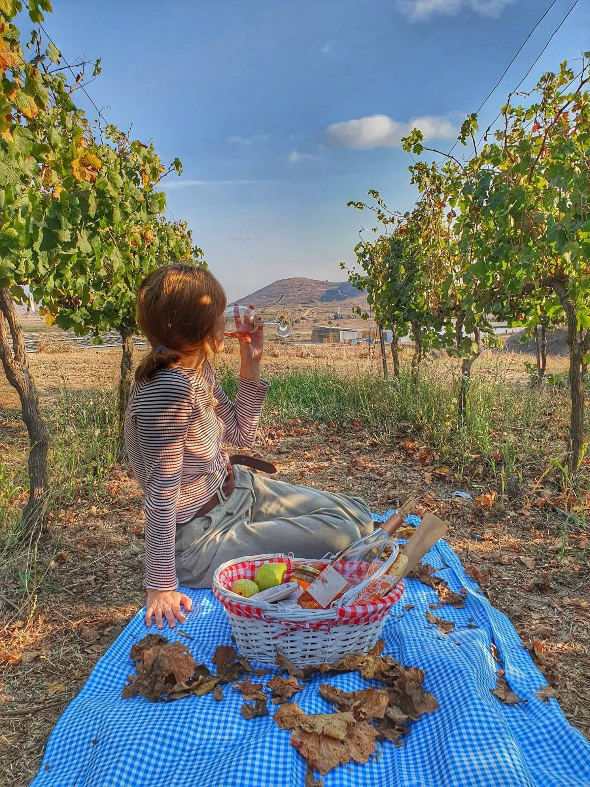 ממלאים את הבטן בפיקניק בכרם | צילום: יקב תל שיפון
