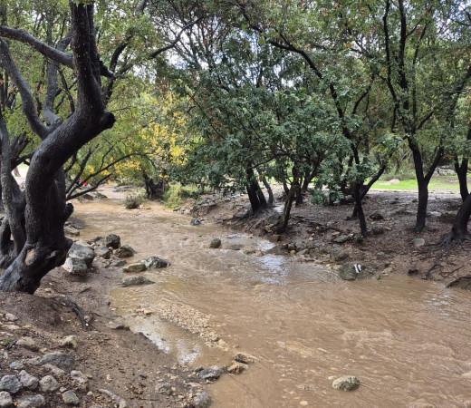 תמונה של בזרימה: המערכת החורפית שוטפת את נחלי ישראל | צפו - למטייל בישראל (טיולי)