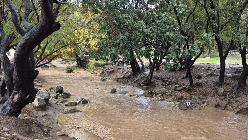 חניון האגם, הכרמל - בזרימה: המערכת החורפית שוטפת את נחלי ישראל | צפו (1)