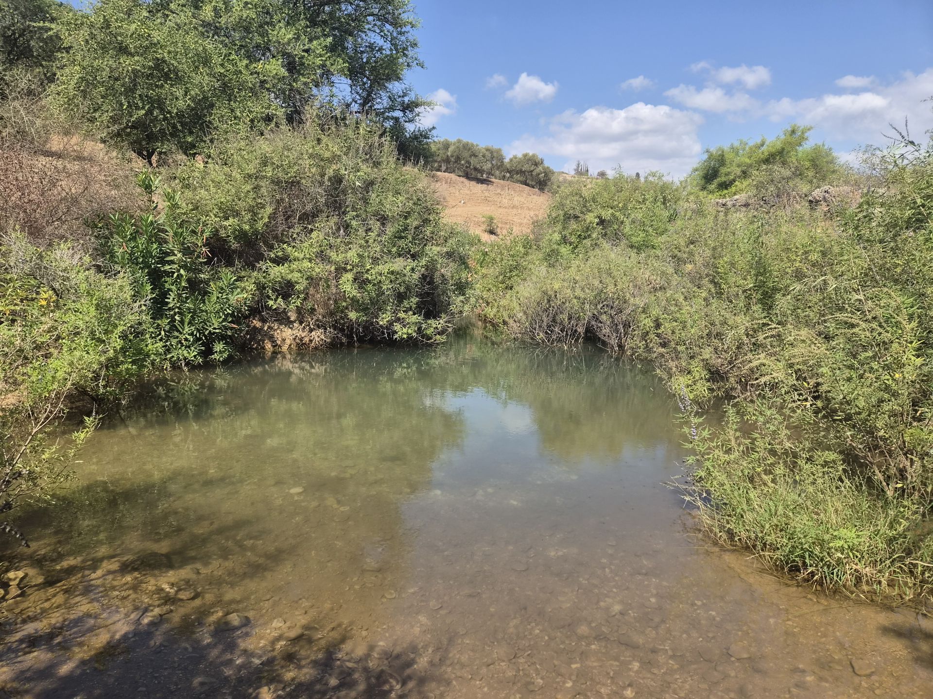 הרבה מקומות לטבילה לאורך הנחל | צילום: שי קדם