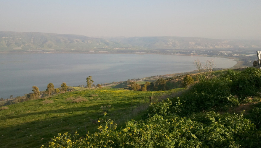 נוף הכנרת מיער שוויץ. צילום: מרכז להבה נצרת, מתוך אתר פיקיויקי