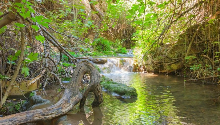 טיול מים רגוע ויפה | צילום: Depositphotos/svarshik