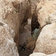 תמונה מתוך למטייל בישראל (טיולי)
