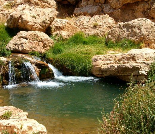 תמונה של הכי אהבתם: 10 הכתבות הנצפות ביותר בחודש מאי - למטייל בישראל (טיולי)