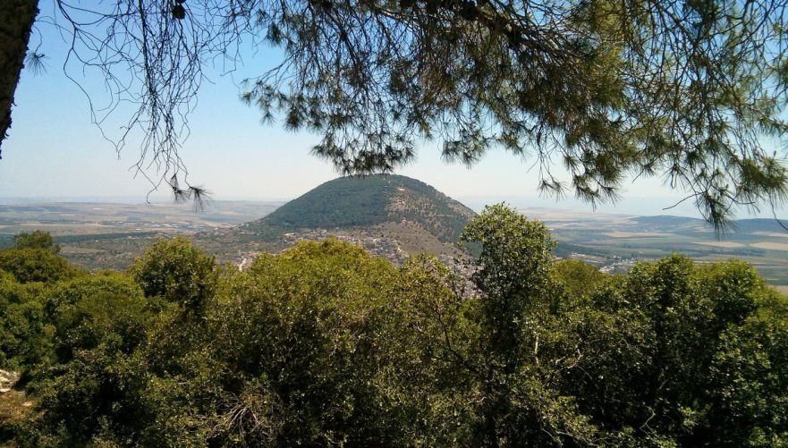 נוף אל הר תבור מיער בית קשת | צילום: עומר זיו