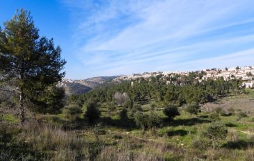 שבוע טבע עירוני 2023  עם החברה להגנת הטבע (3)