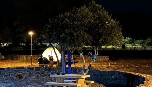 תמונה של חניון לילה: שמורת טבע יהודיה - למטייל בישראל (טיולי)