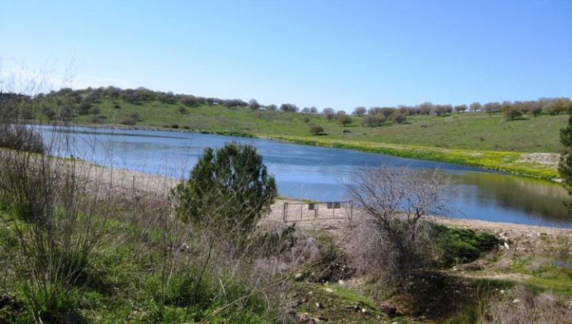 ירוק, מים ובוץ: טיול 4X4 ברמות מנשה (1)