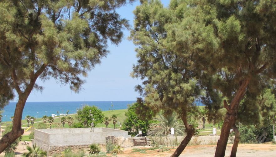 תמונה מתוך אתר למטייל בישראל