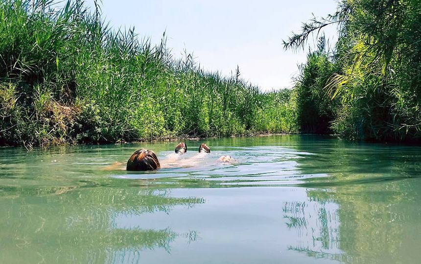 טבילה צוננת בעין אביאל | צילום: טל אנגרט