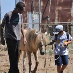 תמונה של חוות הרועים: טיולי רכיבה - למטיל בישראל