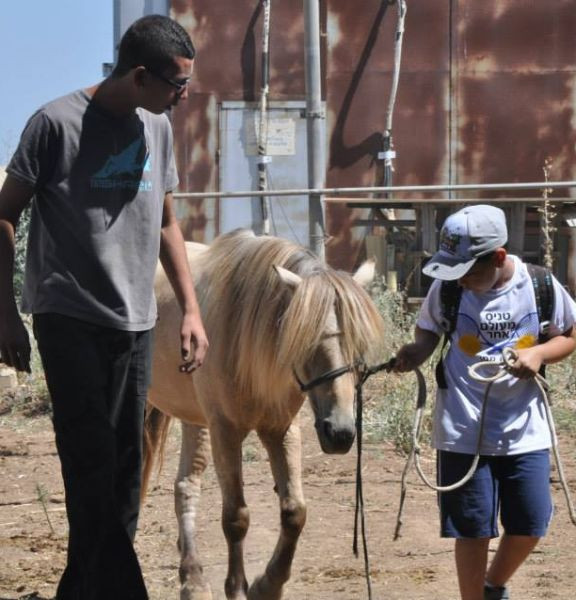 תמונה של חוות הרועים: טיולי רכיבה - למטייל בישראל (טיולי)