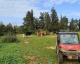 תמונה של ריינג'רים בכפר: חוויית שטח בכרמל - למטייל בישראל (טיולי)