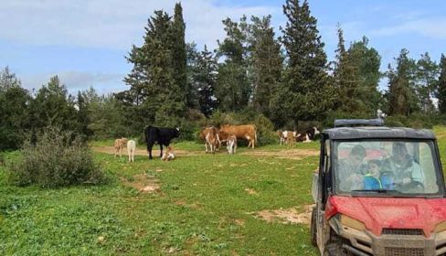 תמונה של ריינג'רים בכפר: חוויית שטח בכרמל - למטייל בישראל (טיולי)