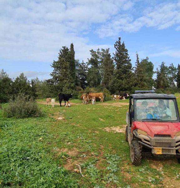 תמונה של ריינג'רים בכפר: חוויית שטח בכרמל - למטייל בישראל (טיולי)