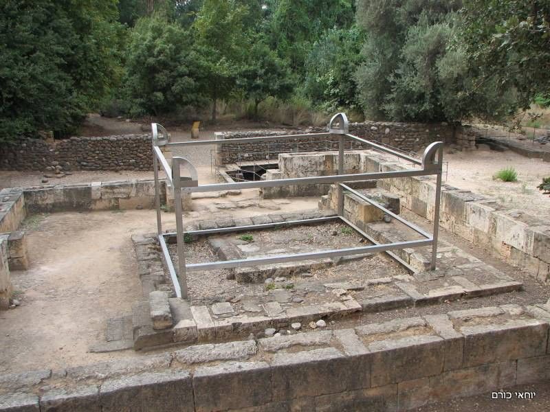 שרידים בתל דן | צילום: יוחאי כורם