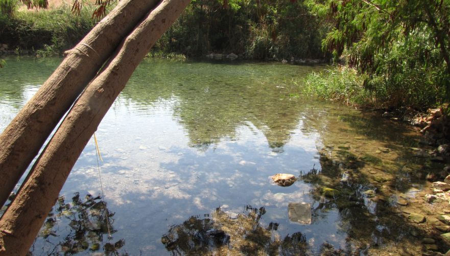 עין שוקק | צילום: יוחאי כורם