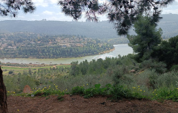 תצפית הספסל מעל סכר בית זית (2)