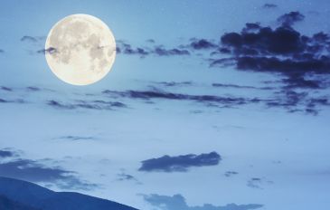בלילות הקיץ הקסומים: 6 מקומות לבילוי משפחתי אחרי השקיעה (2)
