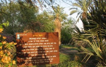פארק ספיר בערבה (3)