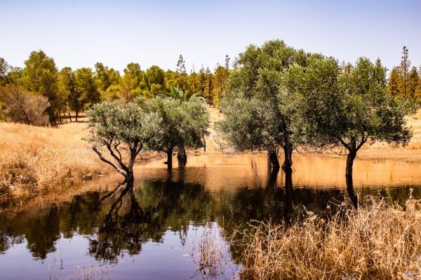 שביל ישראל 4X4 - מקטע 9: מיער להב לתל ערד (3)
