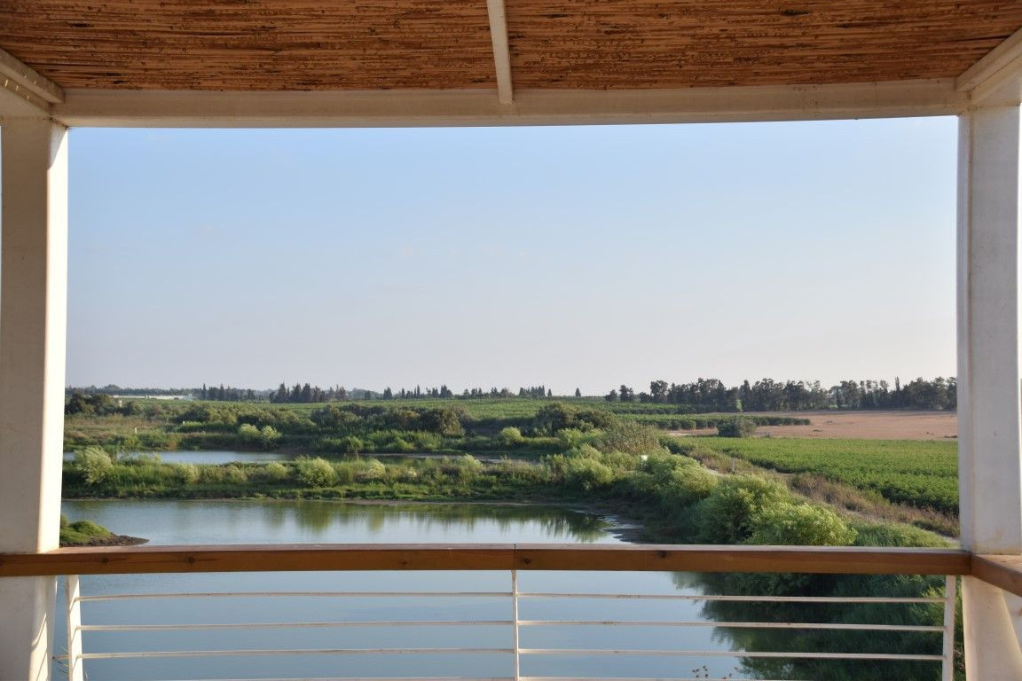 הנוף מהמצפור באגמון חפר. צילום: אילן מנשה