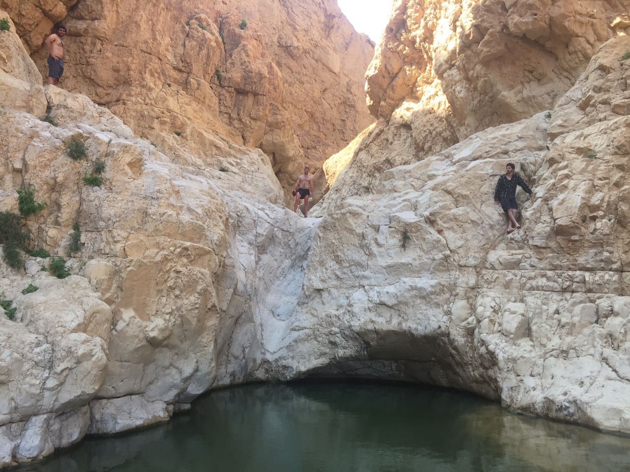 מים צלולים בבירכת צפירה | צילום: איתי דר
