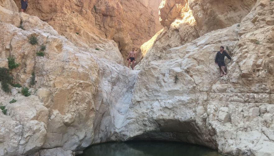 מים צלולים בבירכת צפירה | צילום: איתי דר