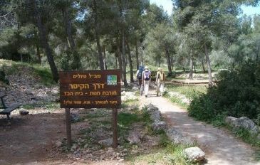שביל הקיסר בהרי ירושלים שודרג והוא בטוח ויפה מתמיד (2)