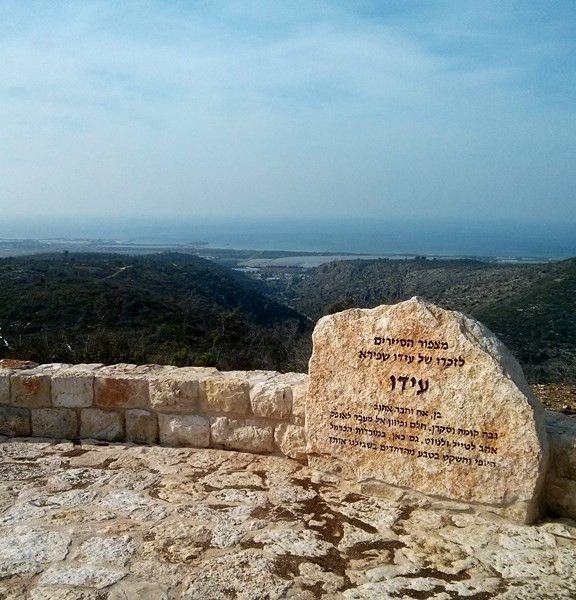 תמונה של מצפור הסיירים ורכס כרמיה - למטייל בישראל (טיולי)