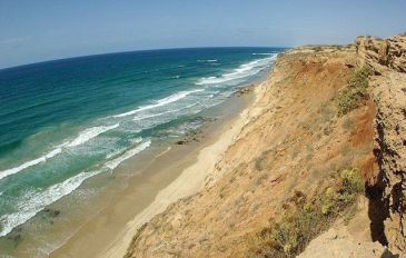 מצוק הכורכר בחוף געש - 