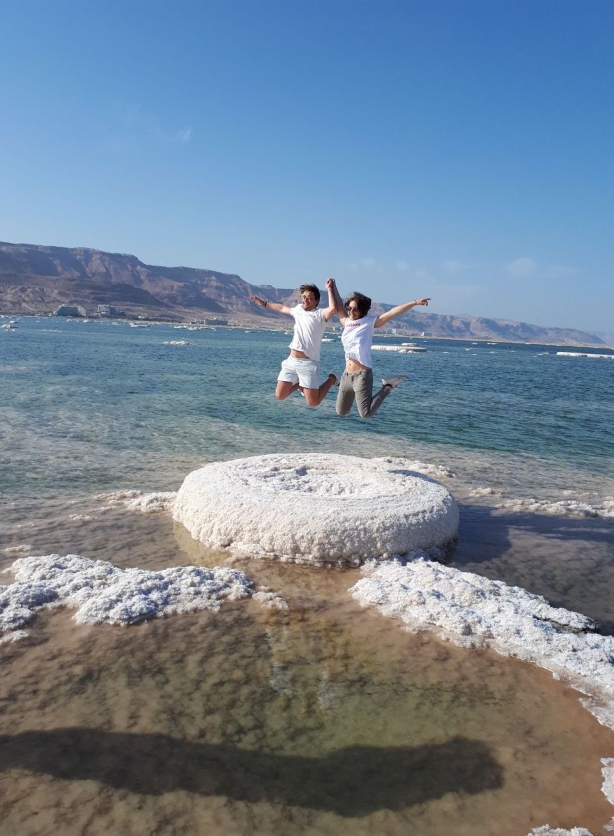 פרא המדבר