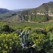 תמונה מתוך למטייל בישראל (טיולי)