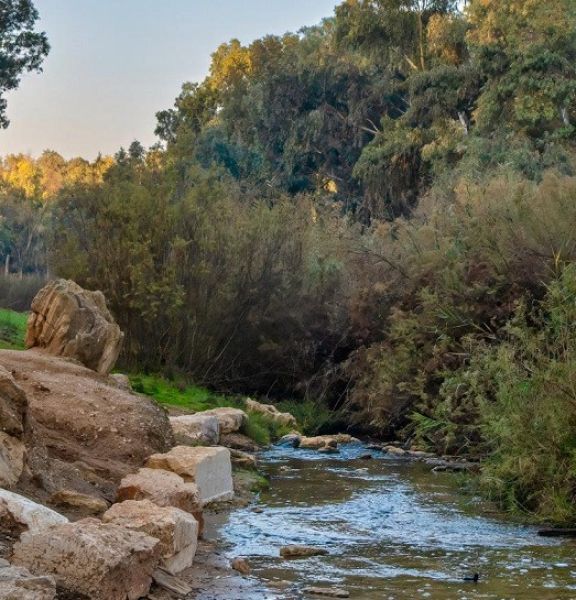 תמונה של פארק שרשרת: נחל גרר - למטייל בישראל (טיולי)