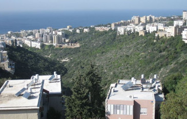 נחל לוטם בכרמל - פסטיול – איך לשלב בילוי בפסטיבלי החג עם טיולים באזור  (3)